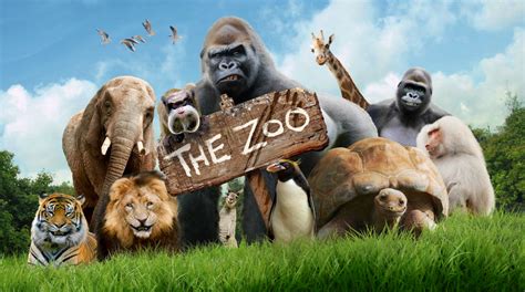 Nowy serial "Zoo" od 19 sierpnia w Boomerangu - omediach.info