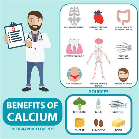 The Function of Calcium – What You Need to Know About the Other 1% – EffiHealth