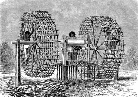 Sugar cane mill in Ecuador, 19th century - Stock Image - C039/0701 ...