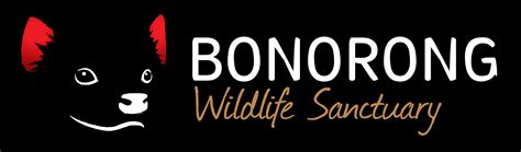 Bonorong Wildlife Sanctuary Daily Shuttle - Heart of Tasmania Tours