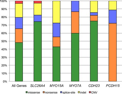 Commonly diagnosed genes in Iranian families exhibit unique patterns... | Download Scientific ...