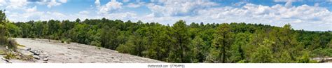 18 Panola Mountain Images, Stock Photos & Vectors | Shutterstock