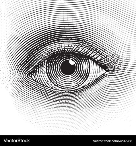 Eye Royalty Free Vector Image - VectorStock