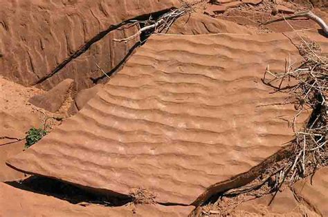 What are Ripple Marks? | Geology Page