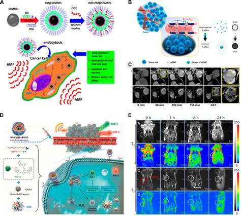 Frontiers | Review on Recent Progress in Magnetic Nanoparticles: Synthesis, Characterization ...