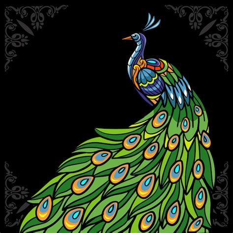 Premium Vector | Colorful peacock bird zentangle arts isolated on black background