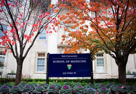 Yale School of Medicine Strategic Plan for Medical Education