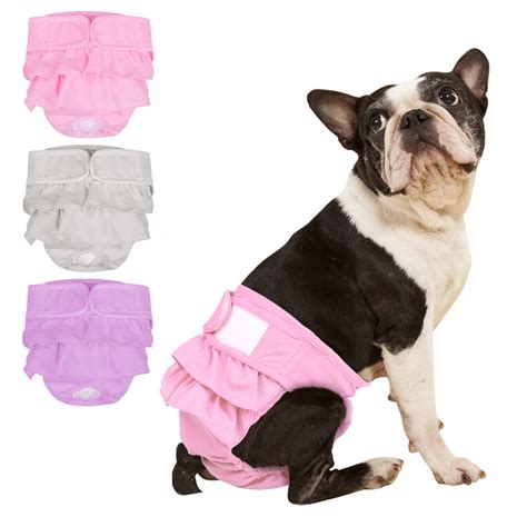 Do Dog Diapers Work For Dogs In Heat