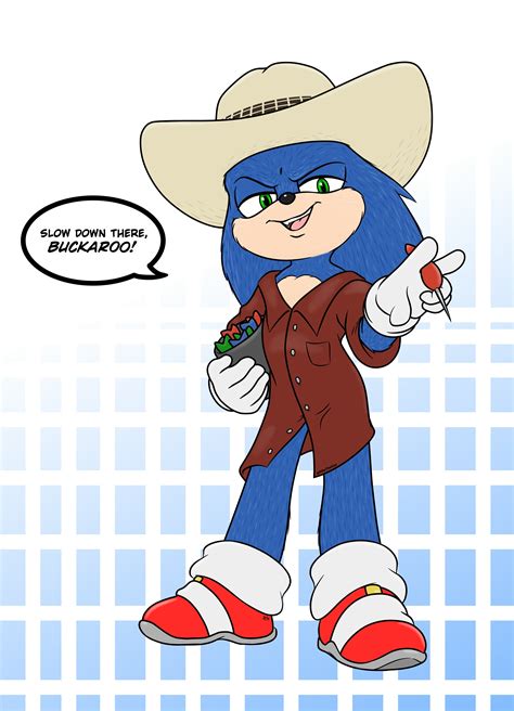 Cowboy Sonic! by PilloTheStar on Newgrounds