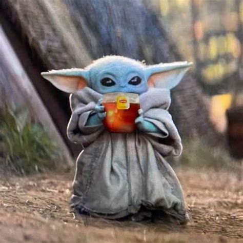 Baby Yoda Memes Are Here To Stay- And That's The Tea