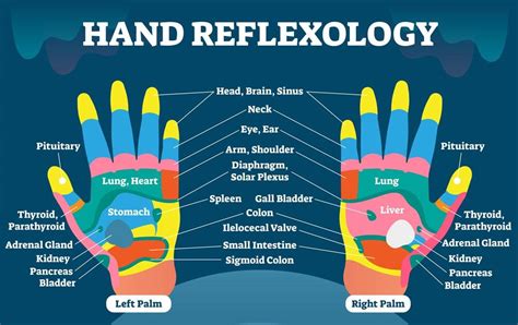 Hand Reflexology Map - Your Handy Guide to Quick Pain Relief