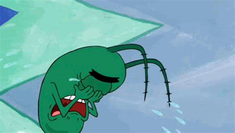 Page 7 for Plankton GIFs - Primo GIF - Latest Animated GIFs