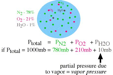 Partial Pressure Defined