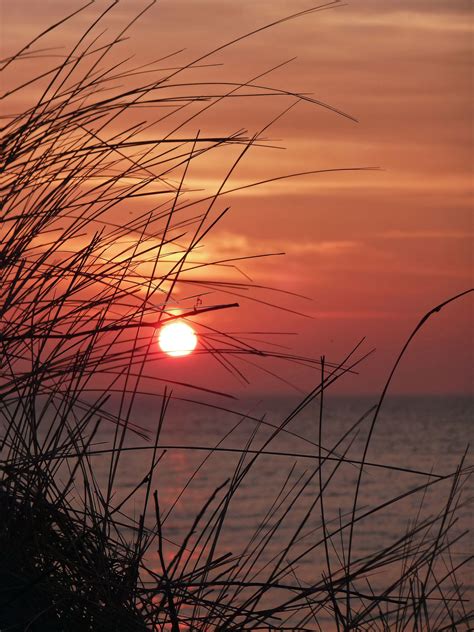 Sunset through the Grasses Brewster, Cape Cod by Sue Zamecnik Sunset ...