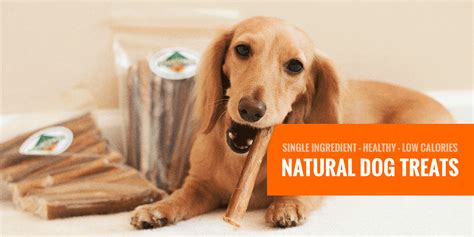 10 Best Natural Dog Treats — Single-Ingredient, Grain-Free, Low Calorie...