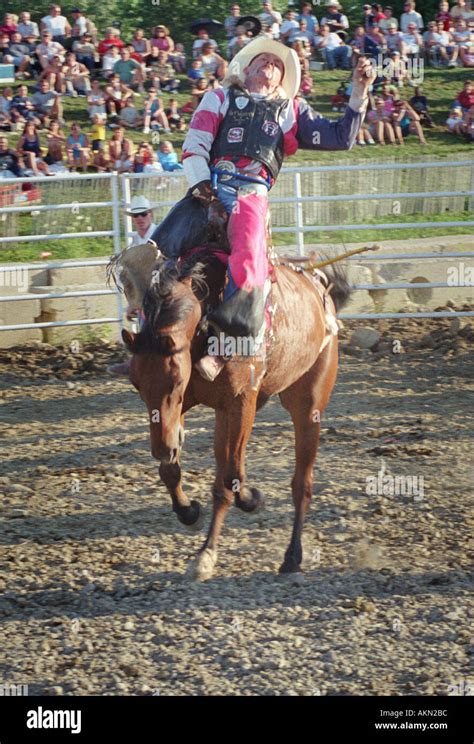 Rodeo horse sporting event Stock Photo - Alamy