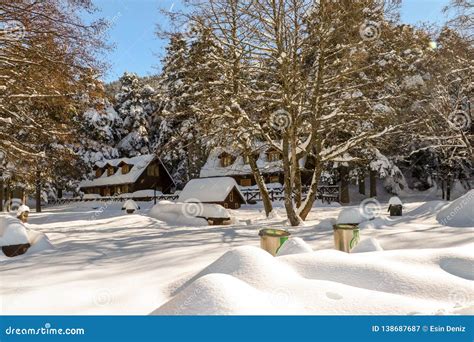 Golcuk / Bolu / Turkey, Winter Season Snow Landscape Stock Image - Image of winter, forest ...