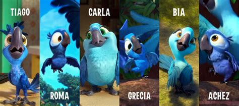 Image - The Little Spix's Macaws.jpg | Rio Wiki | FANDOM powered by Wikia