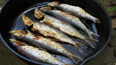 Herring Headache: The Big Obstacles To Eating Small Fish In California ...