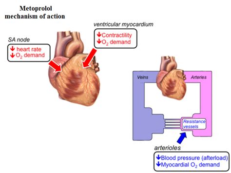 Metoprolol - Drugs Details