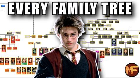 How EVERY Harry Potter Character is RELATED (All Family Trees Explained) | Harry potter family ...