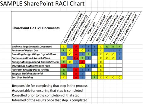 Basics of RACI/RASCI Matrix with Template