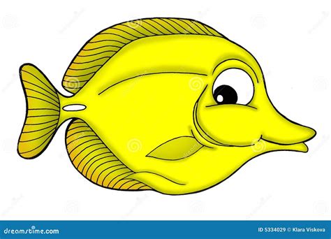 Yellow Tang Fish Vector Illustration | CartoonDealer.com #165704778