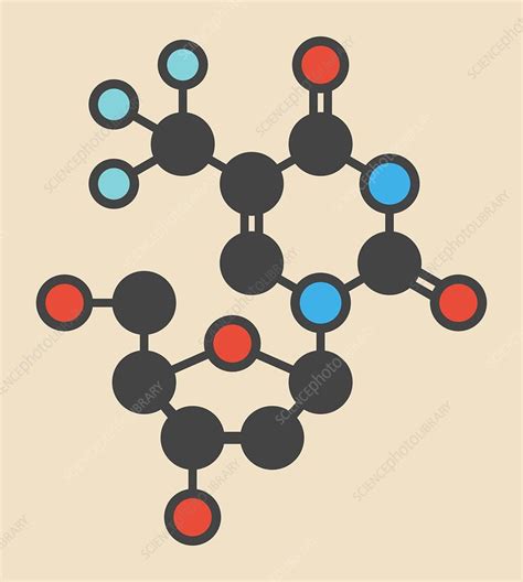 Trifluridine antiviral drug molecule - Stock Image - F013/0793 ...