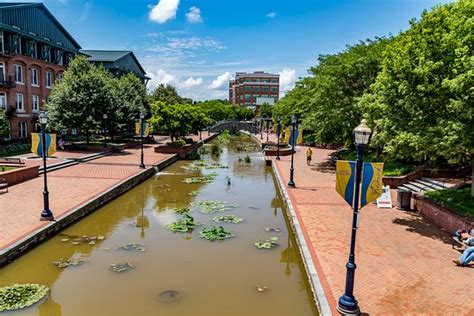 Lovely walk, worth it - Review of Carroll Creek Linear Park, Frederick ...