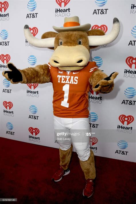 University of Texas mascot Bevo attends 2017 iHeartCountry Festival ...