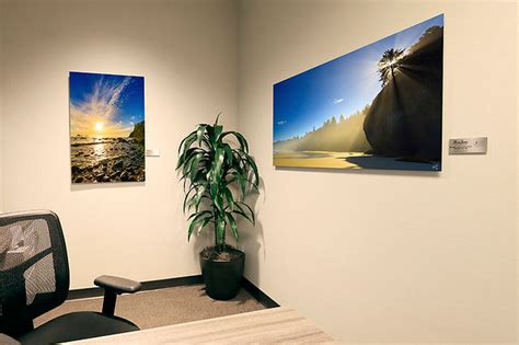 Actualizar 51+ imagen medical office wall art - Abzlocal.mx