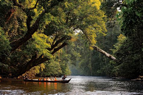 3D2N Taman Negara Pahang 3天2夜 彭亨大汉山国家公园 - Great Leap Tours