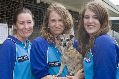 Volunteer at the animal shelter | Sutherland Shire Council