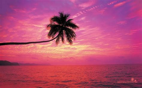 Sunset Beach Backgrounds - Wallpaper Cave