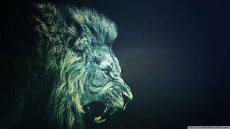 Trippy Lion Wallpapers - Top Free Trippy Lion Backgrounds - WallpaperAccess