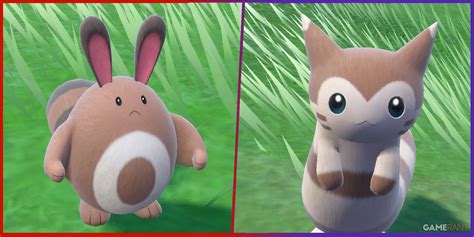 Pokemon Scarlet & Violet: How to Evolve Sentret into Furret