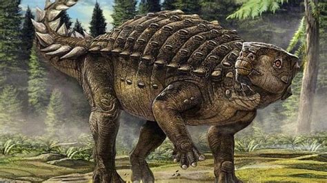 Parrot-turtle dinosaur called Kunbarrasaurus discovered in Australia - CBBC Newsround