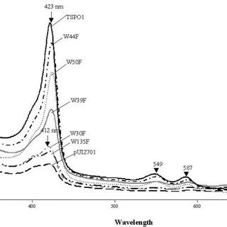 Absorbance spectra of the tetrapyrrole pigments accumulated by resting ...