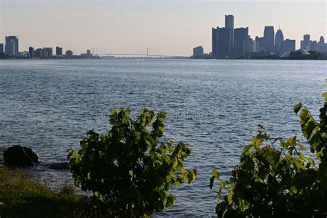 Detroit and Windsor S Skyline Stock Image - Image of dusk, tree: 238154931