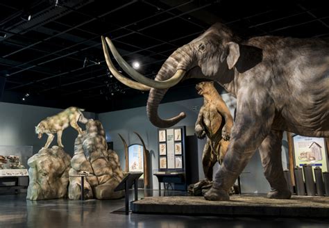 Mammoths: Ice Age Giants At Natural History Museum | Londonist