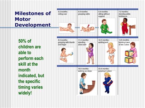 PPT - Infancy: Physical Development PowerPoint Presentation, free download - ID:333905