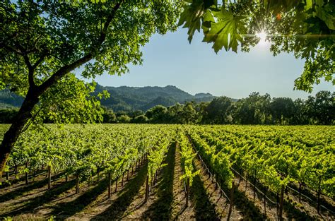 Holidays in California Wine Country | Trailfinders