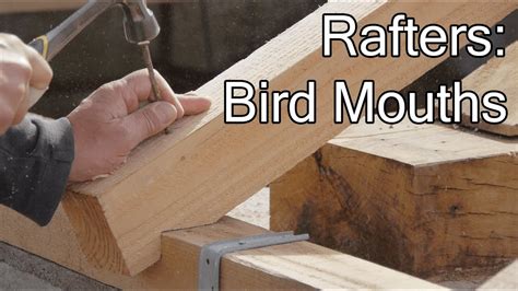 DIY ROOF: RAFTER'S BIRD MOUTHS - YouTube