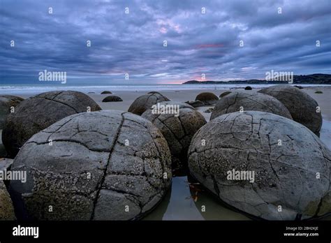 Close up cluster moeraki boulders lying on koekohe beach cloudy dusk hi-res stock photography ...