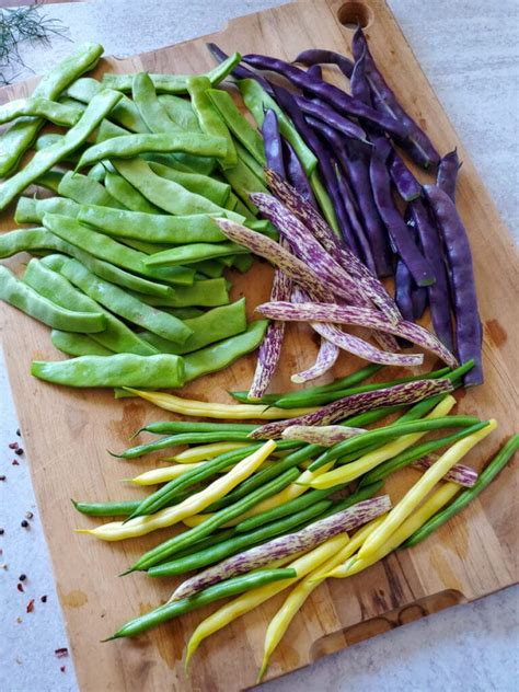 Quick Pickled Dilly Green Beans (Refrigerator or Canning) ~ Homestead and Chill