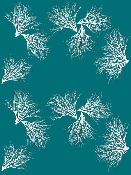 Fabric: Coastal Coral - white on totally teal – Helio Graphics