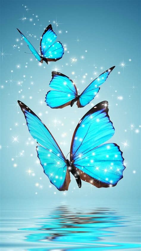 4K Butterfly Wallpaper - iXpap