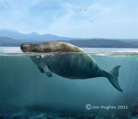 Digital Artist: Steller's Sea Cow | Steller's sea cow, Extinct animals ...