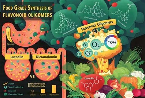 Catalyst-free oxidative coupling of flavones in food grade alkaline water