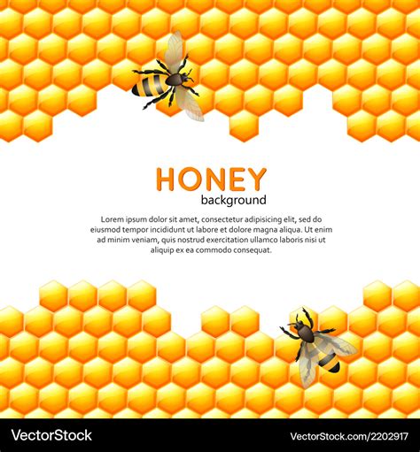 Honey bee background Royalty Free Vector Image